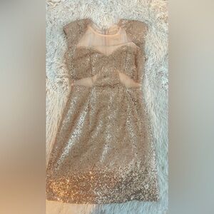 Rose gold sequin dress